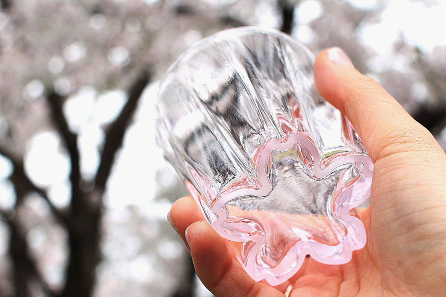 SAKURASAKU glass