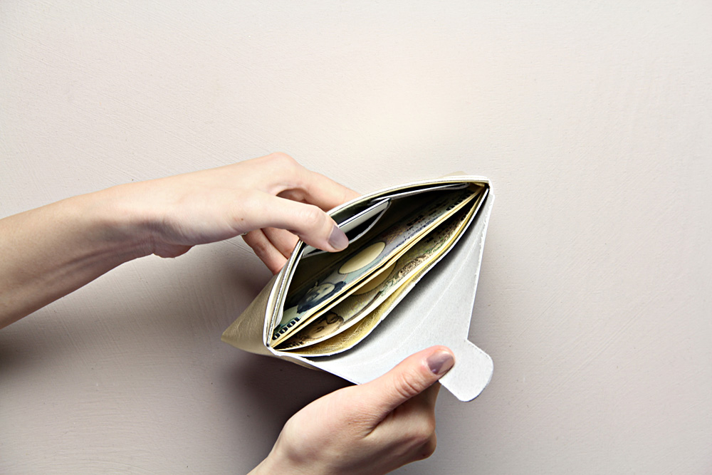 i ro se (イロセ) / seamless long wallet (シームレスロングウォレット)