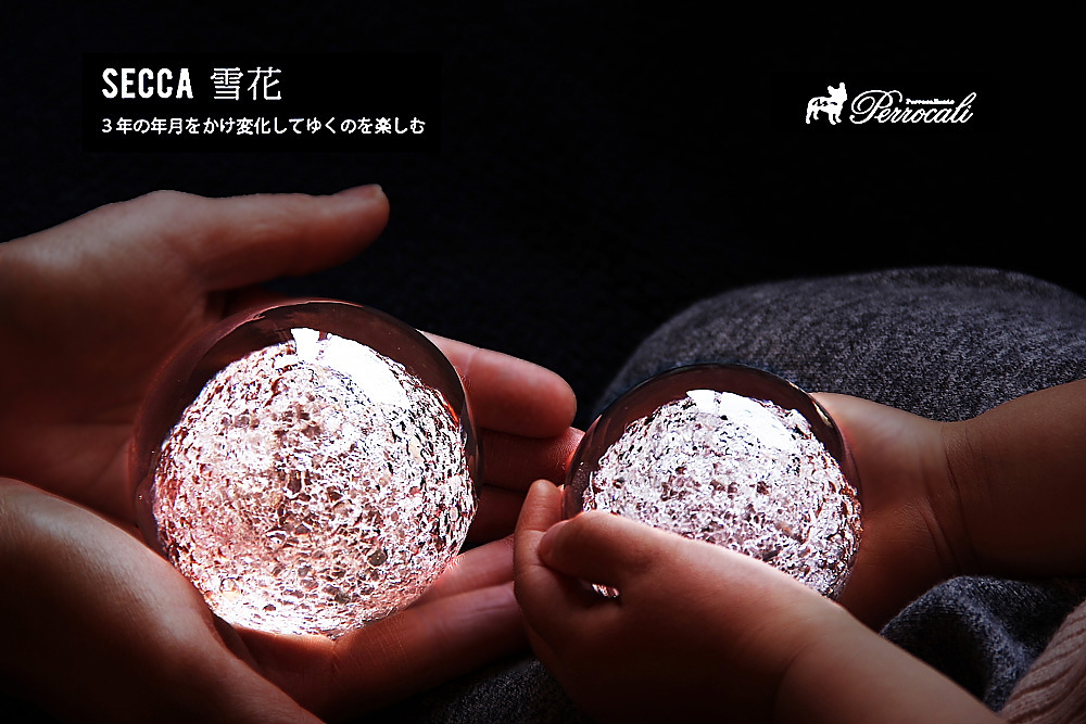Perrocaliente /ペロカリエンテ/ SECCA / 雪花